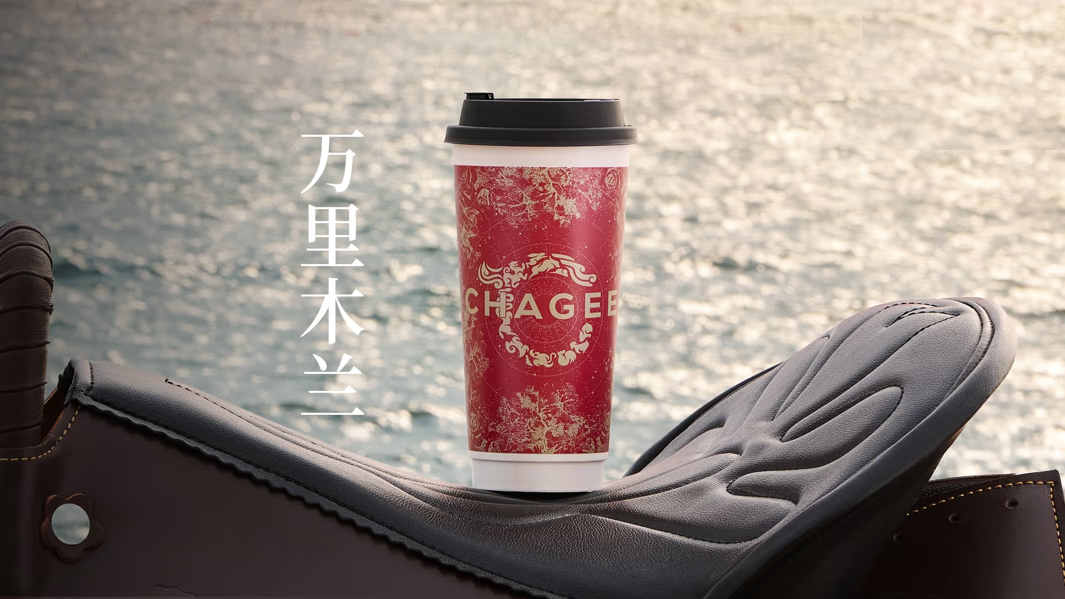 CHAGEE - Image 3