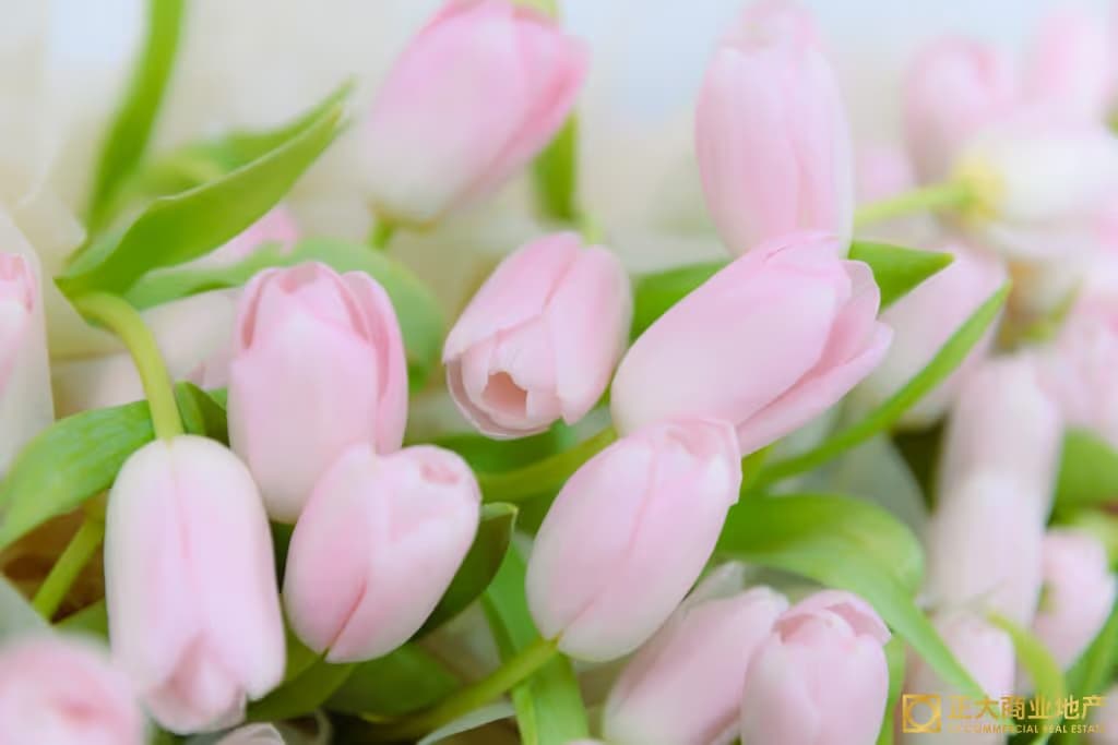 Flowerplus - Image 3
