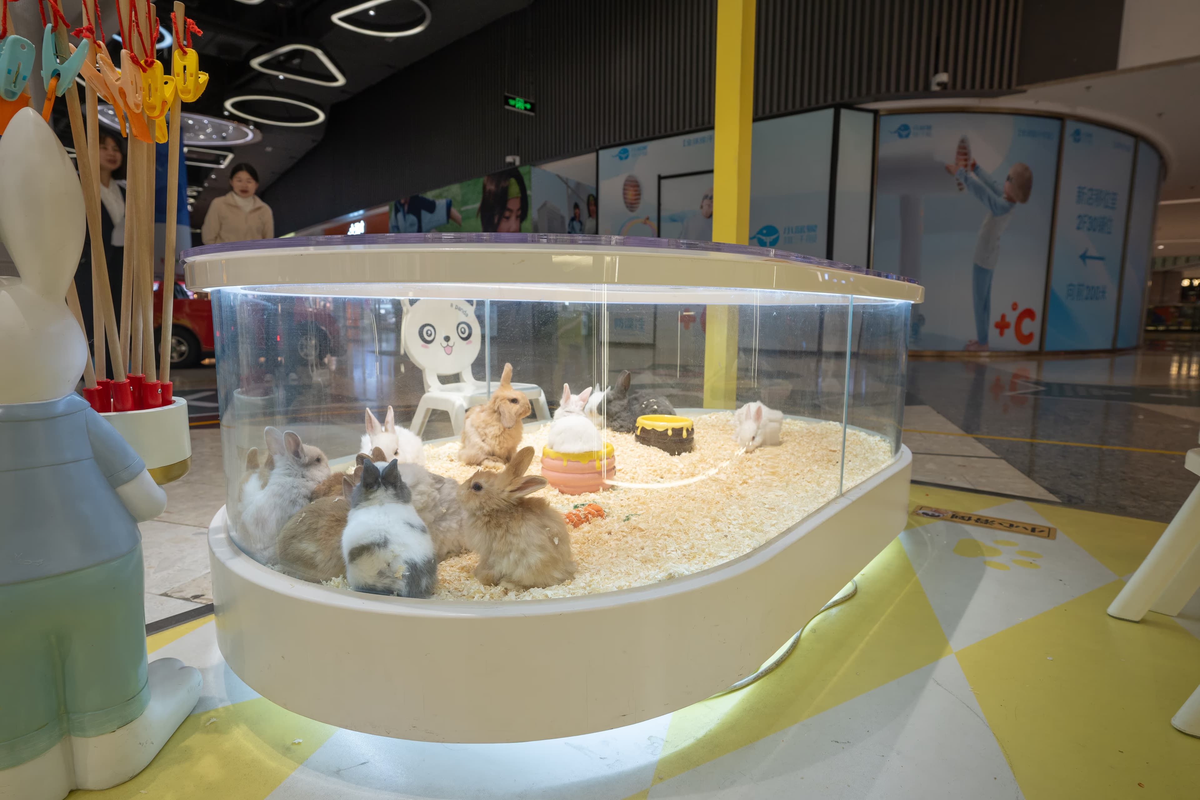 MARVELLOUS FUN LAND - Image 4