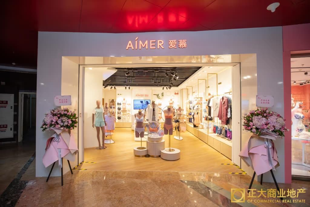 AIMER - Image 5