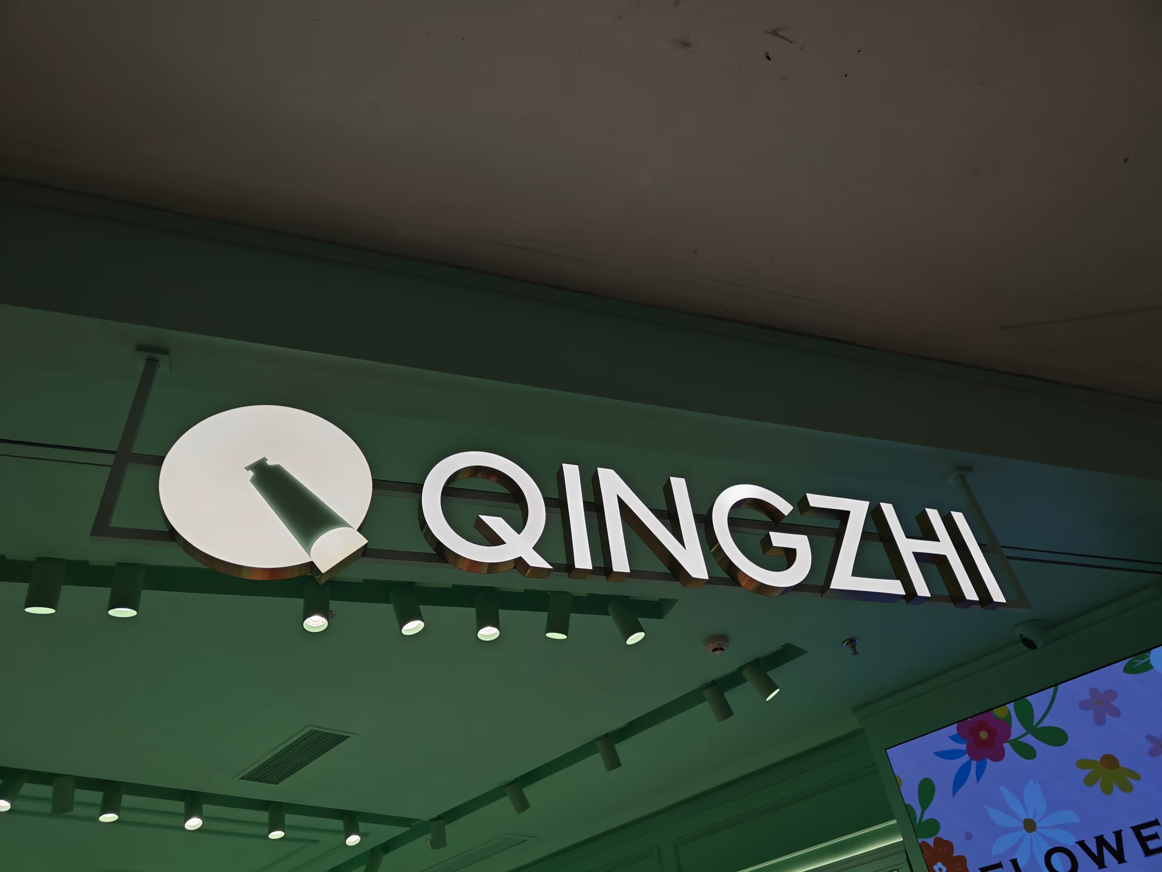QINGZHI - Image 3