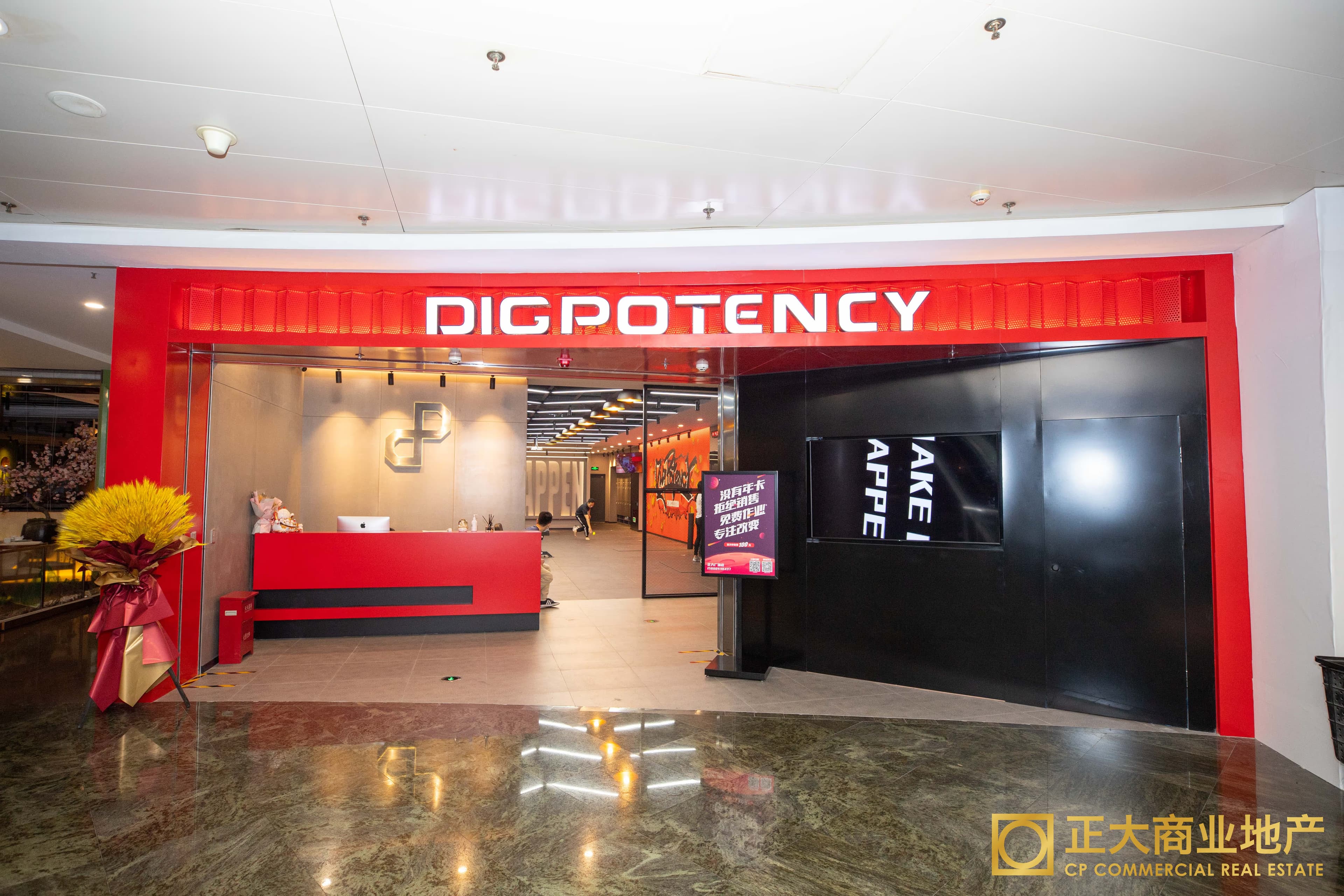 Dig Potency - Image 2